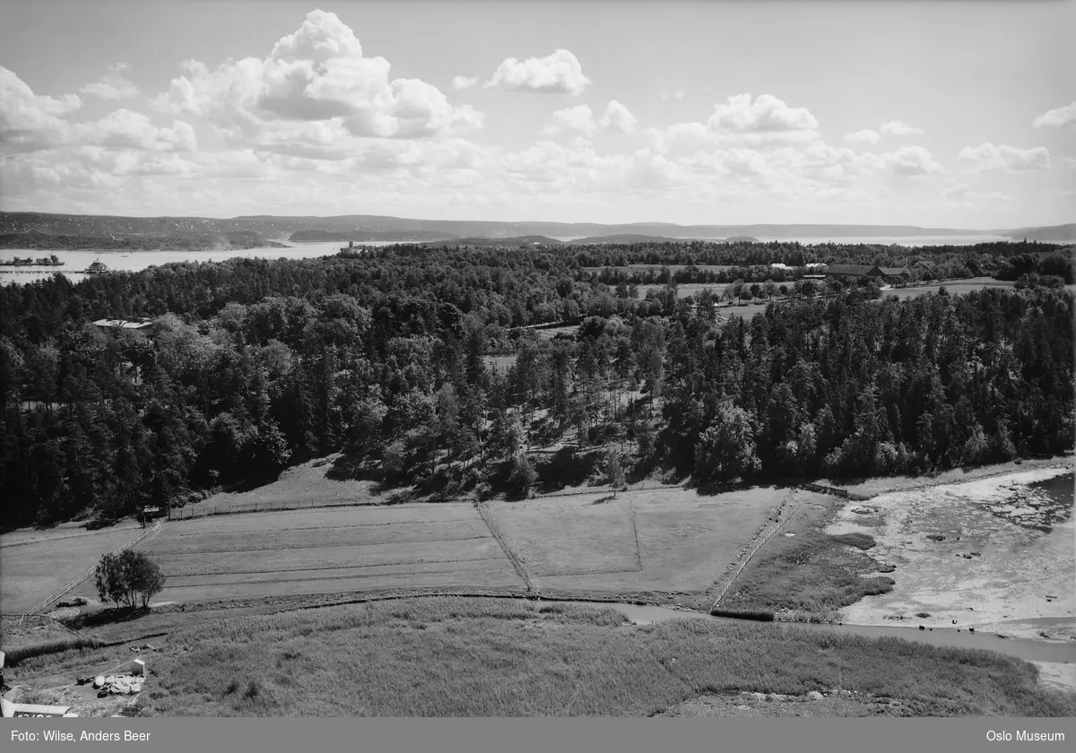 utsikt, skog, Bygdøy kongsgård, jorder