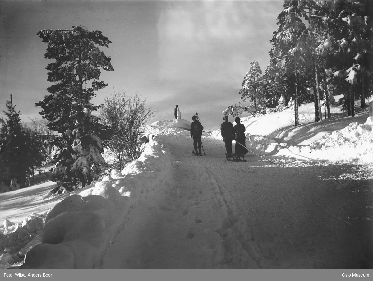 bakke, snø, menn, kvinne, ski, kjelke, portrettstatue