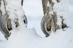 Block från Gladanmast vid Sjöhistoriska Museet