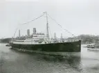 Svenska Amerika Liniens M/S GRIPSHOLM.