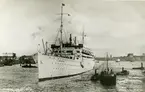 Göteborg. M/S Gripsholm. Fotografi 8/107. Axel Eliassons Konstförlag A. B. Stockholm. Svensk tillverkning.