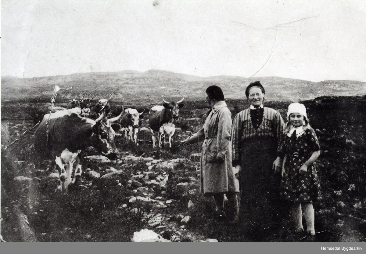 Holdeskaret i Hemsedal i 1937
Frå venstre: Fru Astrid Magnesen (bydame), Margit Fekene og Magnhild Flaget
Fotograf: Bjørn Magnesen