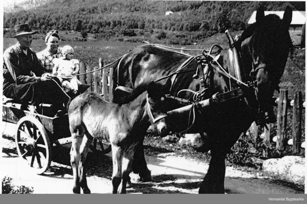 Sundagstur til Grøndalen.
Wilhelm og Oline Wøllo med yngstedottera Jorunn.