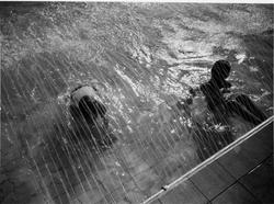 Vanadisbadet
Exteriör. Utomhusbild. Människor i bassäng.