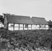 Domsten fiskeläge, Skåne
Exteriör

Svensk arkitektur: kyrkor, herrgårdar med mera fotograferade av Arkitekturminnesföreningen 1908-23.