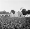 Farhult, Skåne
Exteriör

Svensk arkitektur: kyrkor, herrgårdar med mera fotograferade av Arkitekturminnesföreningen 1908-23.