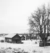 Runskog
Exteriör