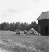 Bebyggelse vid landsväg
Exteriör