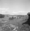 Bebyggelse vid landsväg
Exteriör