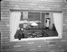 Utställningen Bygge och bostad  1948 på Svenska mässan, Göteborg
HFI - Hemmens forskningsinstitutet
Fotograferat in genom köksfönstret