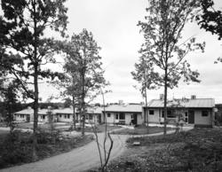 Atlantis radhusområde
Exteriör, radhusområde med väg och hög