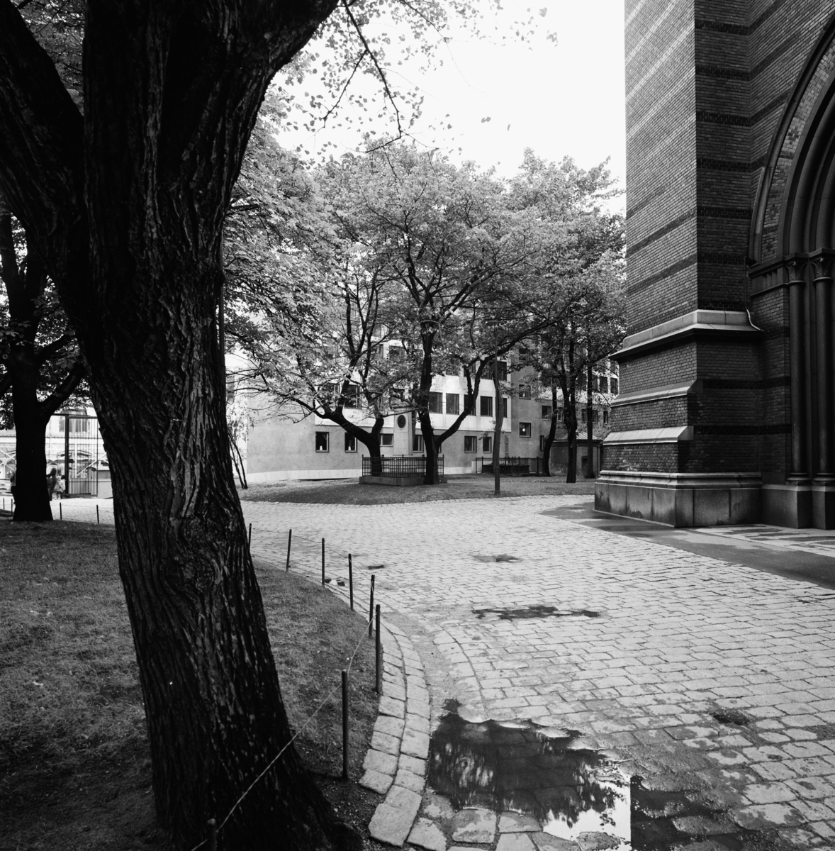 Kyrka, Plantyp-Enskeppig, Plantyp-Korsplan, latinsk, Plantyp-Korsplan