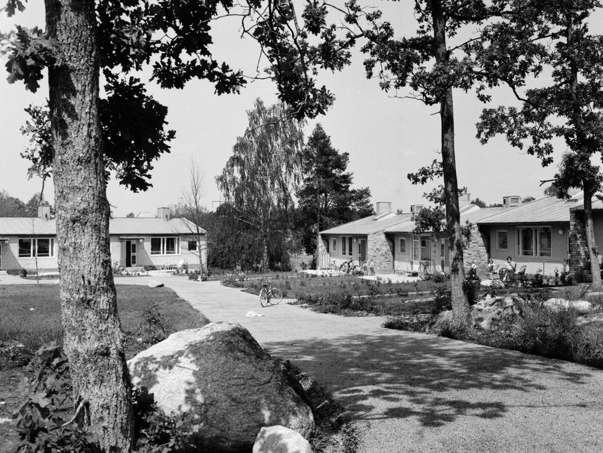 Atlantis radhusområde
Exteriör, radhusområde med tallar