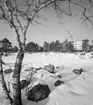 Bostadsområde
Exteriör, nästan färdiga flerbostadshus i fonden med tallar. Snötäckt fält och liten björk vid stenröse i förgrunden.