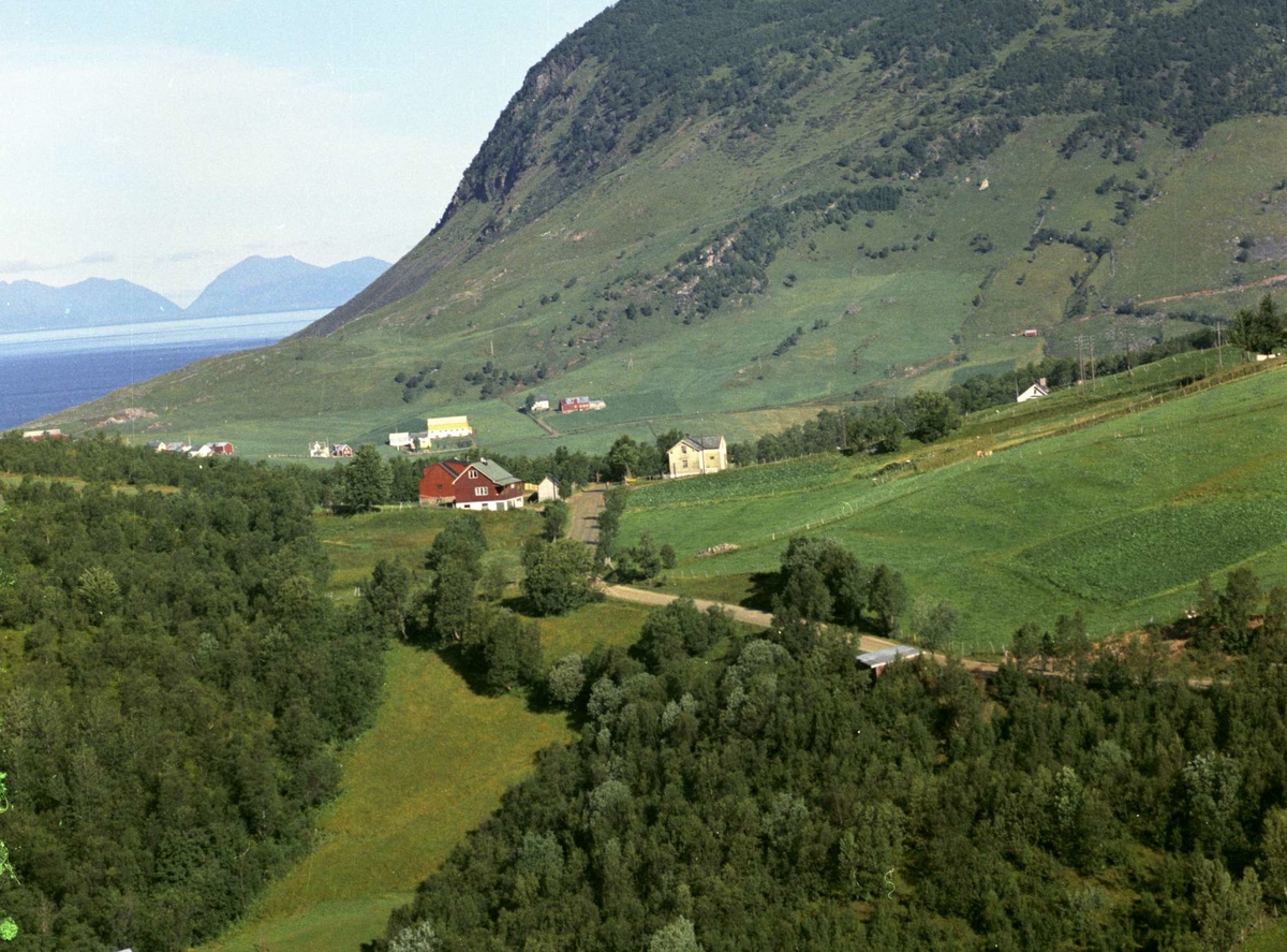 Flyfoto av Høgda, med Solheim og Fagerheim på Hardbakken i bakgrunnen.