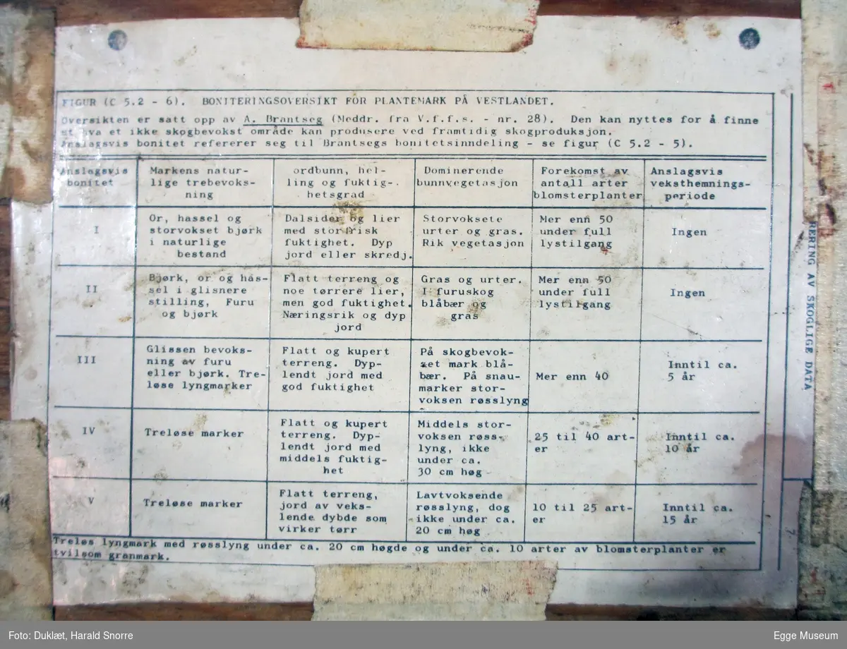 Rektangulær finerplate. Påmontert boniteringsskjema for øvelser i skogtaksering ved Skogskolen fra ca. 1970? Skjema festet med fryseteip.