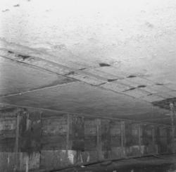 Prins Carl bottenskada