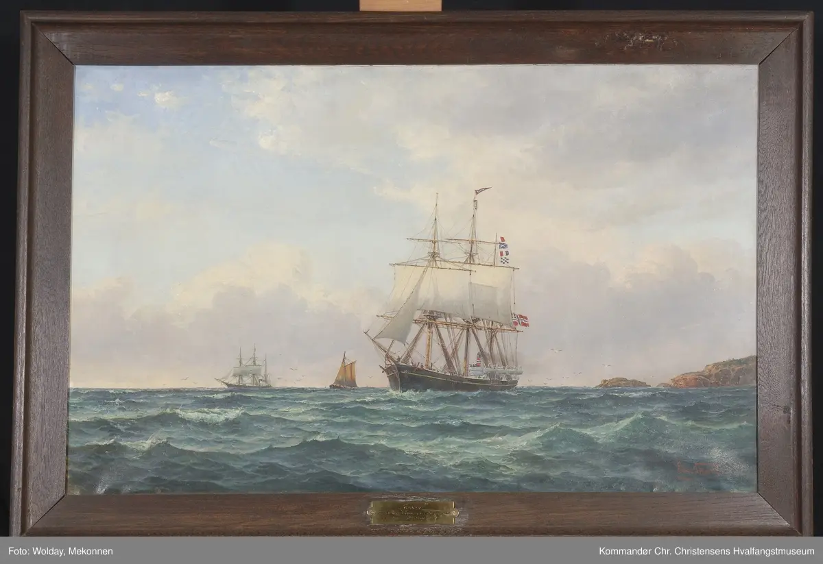 JASON
Nasjon: Norsk
Type: Bark
Byggeår: 1881
Byggested: Framnes, Sandefjord, Norge
Verft: Chr. Christensen
Ombygging: Ombygget til polarskip 1898/99
Endelig skjebne: Solgt Italia 1899 for kr 108.000. Forandret til STELLA POLARE. Reder Hertugen av Abruzzerne. Landsatt 1909 i Tiberfloden, forandret til skoleskip.