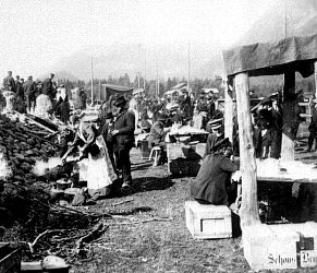 En samling bilder fra Telemark o. a. st. Bl. a. Seljord dyrsku, telemarksbåtene, mennesker, turistliv, Gråtenmoen ekserserplass, Dyrsku Dalen 1906 m. v.
