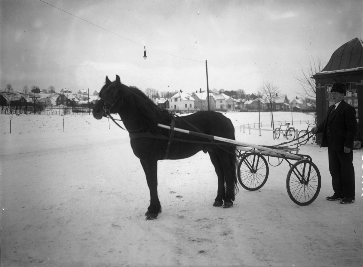 Mann og hest.
Trav.
Sulky.