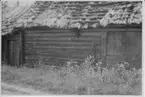 Dalskog