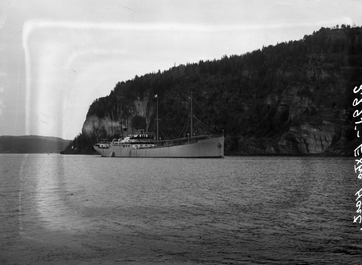 Dampskip på Frierfjorden.