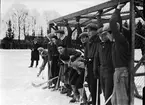 IFK Uppsala spelar bandymatch mot Västerås S K på Studenternas Idrottsplats, Kronåsen