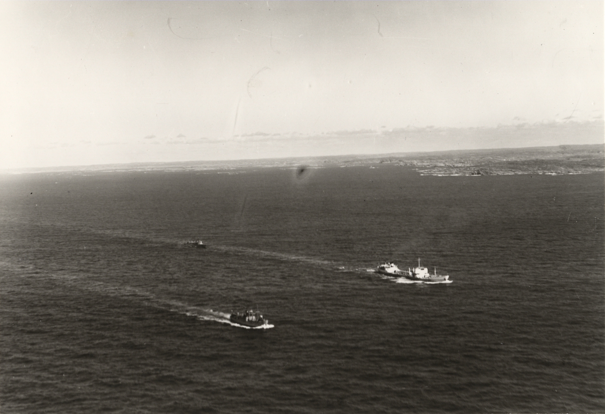 M/T SVEADROTT i konvoj.