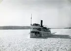 Fartyget befinner sig mellan Hasseludden och Höggarn mott för Kummelnäs yttre brygga. Fotodatum 1953-02