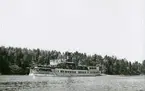 S/S EXPRESS II i Furusundsleden i höjd med Östanå, juli 1955.