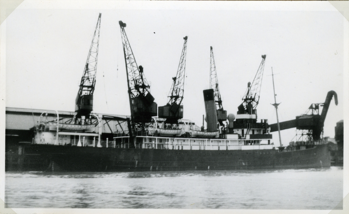 Foto i juni 1949