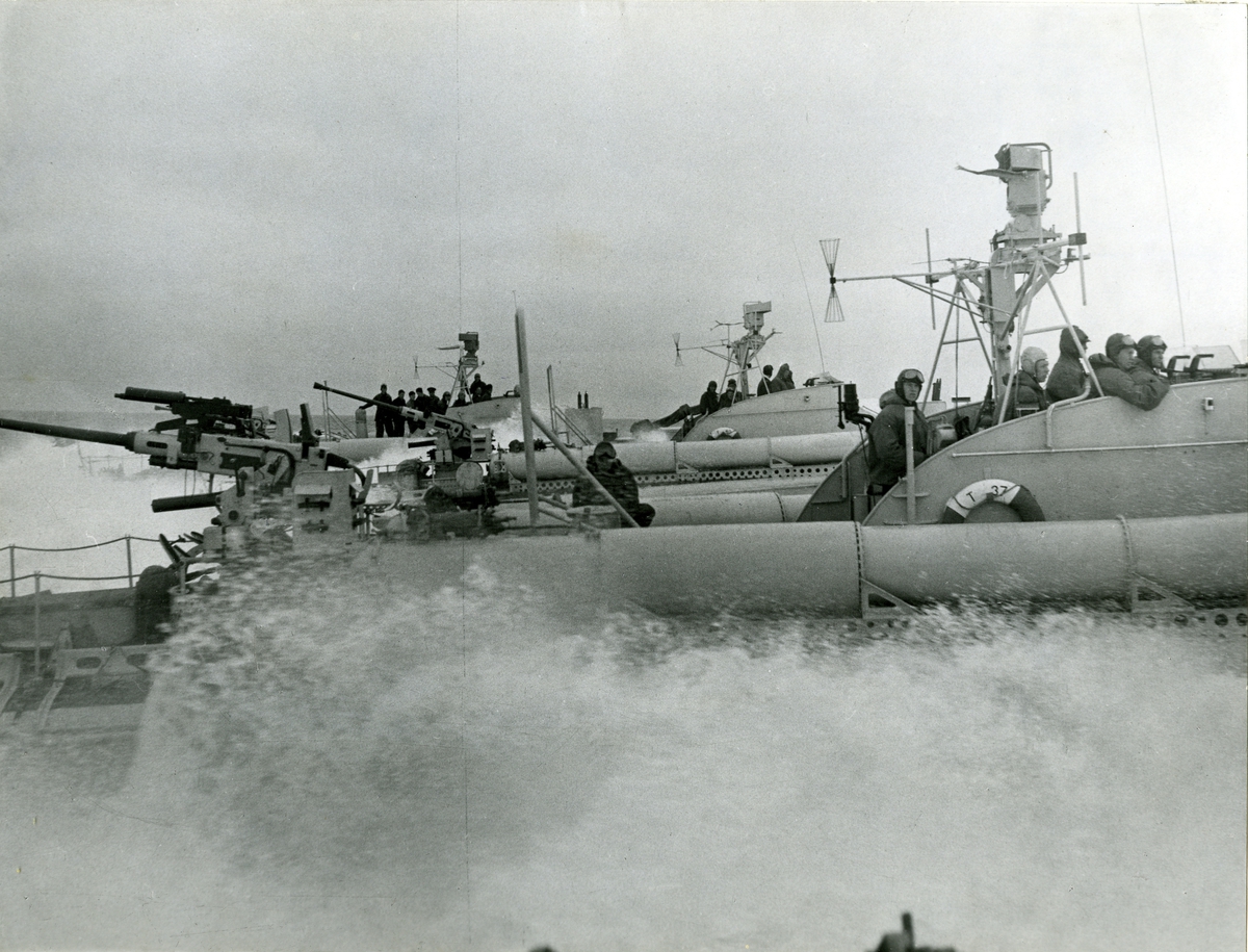 T 37 (1952)