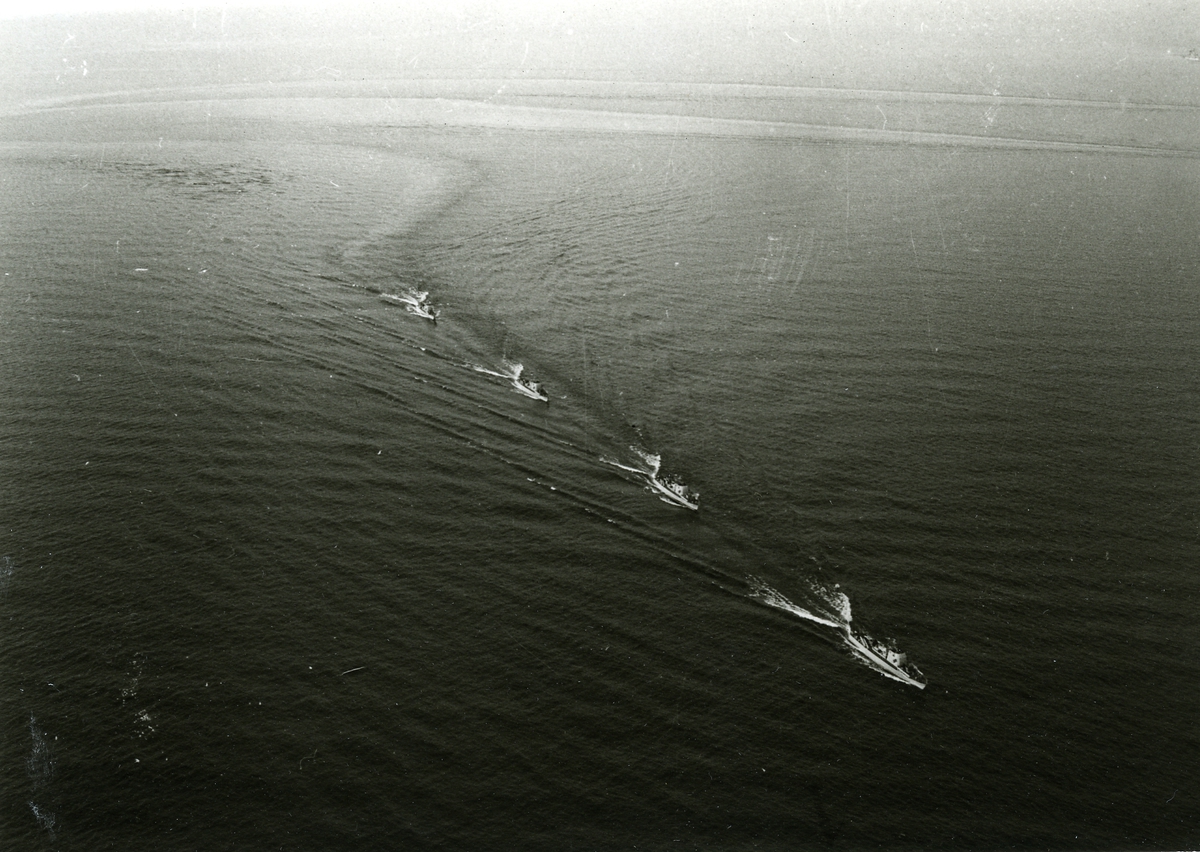 Motortorpedbåtarna T 102, T 103, T 104 samt T 107.