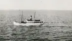 Från Stångehuvud fyr vid Lysekil den 5:e September 1916.