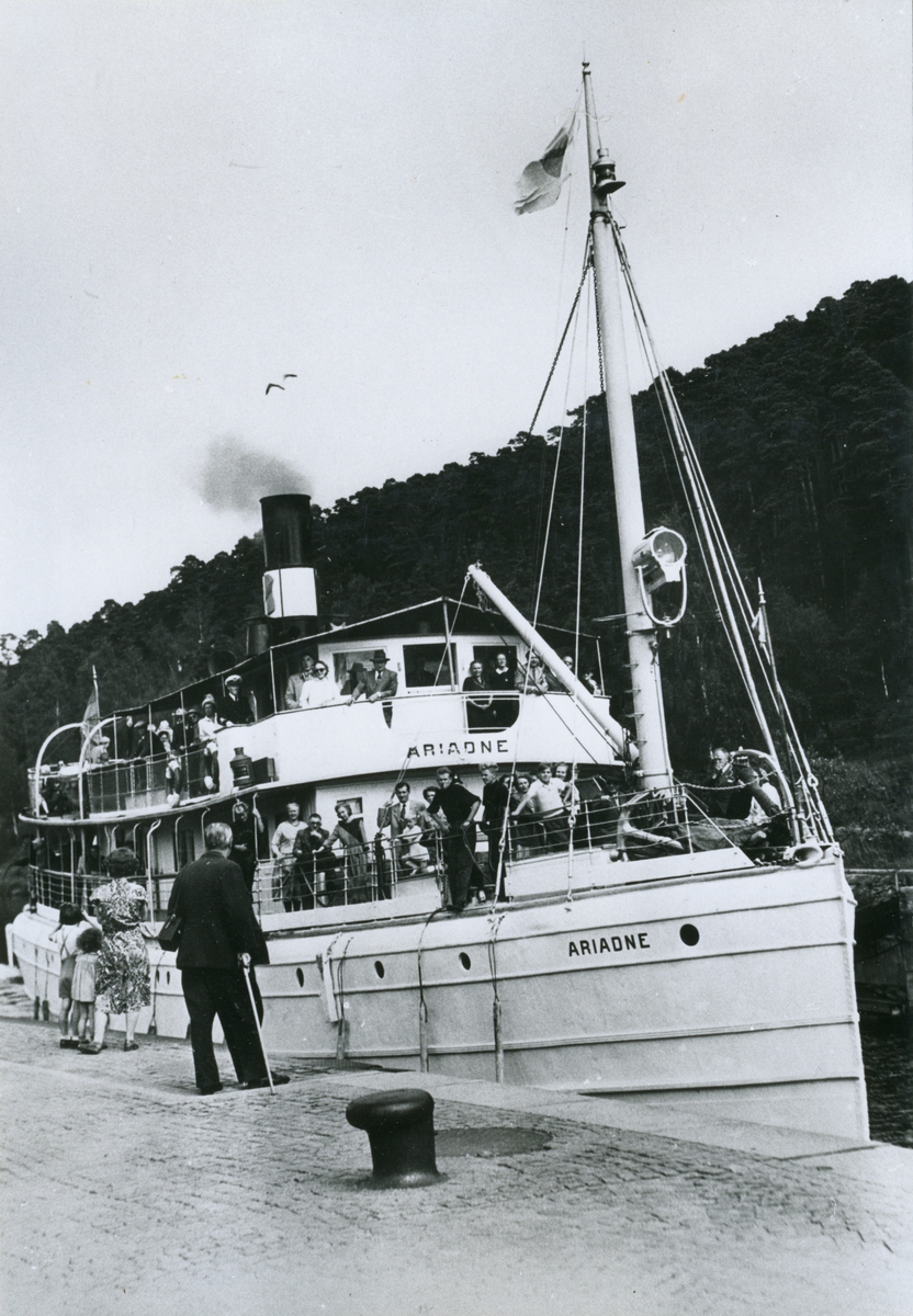 S/S ARIADNE ex PRIMUS