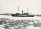 Passagerarångfartyget Kung Rane av Uddevalla i Marstrand, vintern 1917.