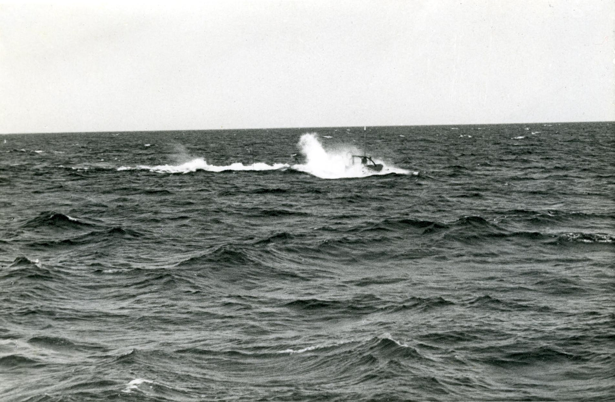 Kustflottans ubåten Sjölejonet gör en övningsdykning, juni 1941.