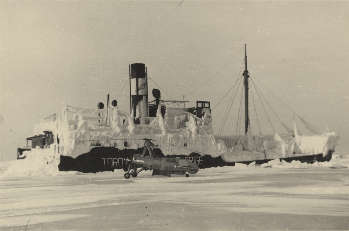 Lastångfartyget TORÖ av Stockholm. Minsprängt den 12.12.1939 vid Falsterbo. Obs. att akterskeppet brutits loss av isen. Framför fartyget v. Bahrs autogiro.