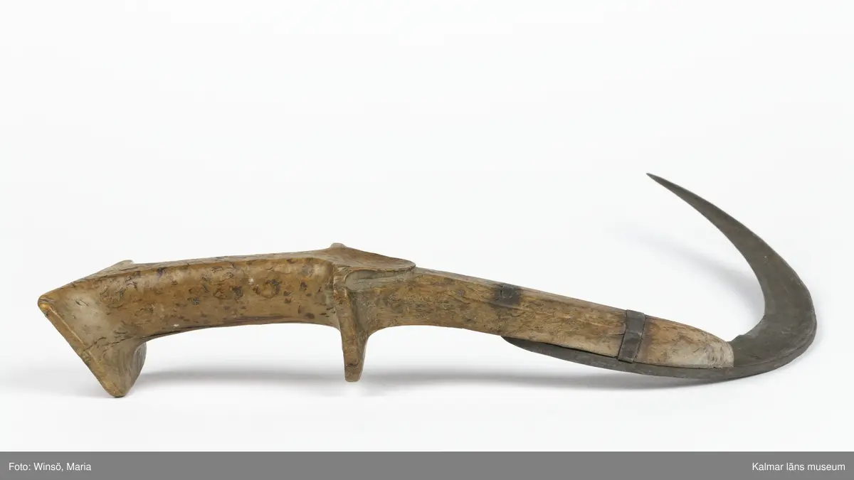 KLM 3120. Skära, vinkelskära, trä, metall. Vinkelskära med bågböjt blad av järn, fastnitat på skaftets ena sida. Skaft av masurbjörk med fyrsidig knopp med skarp mittrygg. På knoppens översida inskuret årtalet MDCCCI (1801 och blommor och rankor). På handtaget nära bladet inbränt PNS. Bladet märkt A. Användes för att skära av säden.