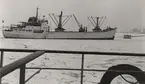 Lastmotorfartyget BIRGIT RAGNE av Västervik 8.8.1965. Bilden tagen utanför Malmö hamn i början av år 1963.
