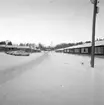 Nybyggen på Dalaberg 1960