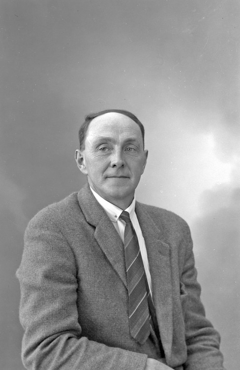 Nils i Vik