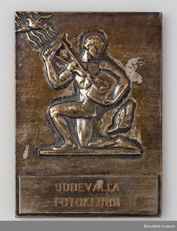 24 st medaljer/plaketter för pris i olika fototävlingar till Bo Seinknecht;  Mästartävlan, Riksfototävlingen, Uddevalla Fotoklubb, Västsvenska  mellan åren 1941 och 1959 .