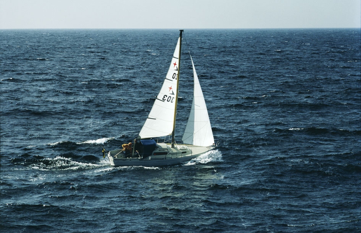 Albin Viggen