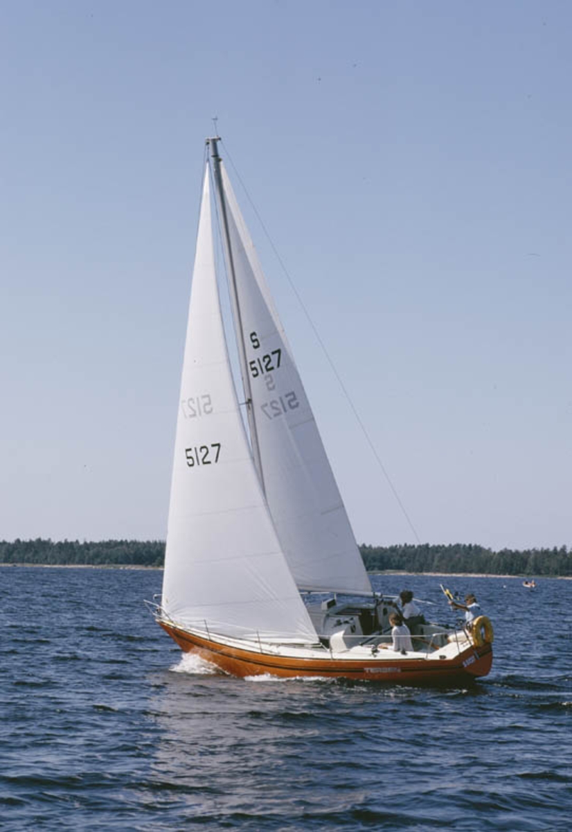 Albin 79