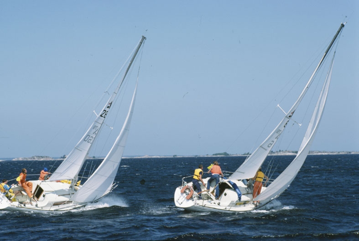 Albin 79