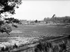 Friluftsmuseet Disagården i Gamla Uppsala, Uppland sannolikt år 1930