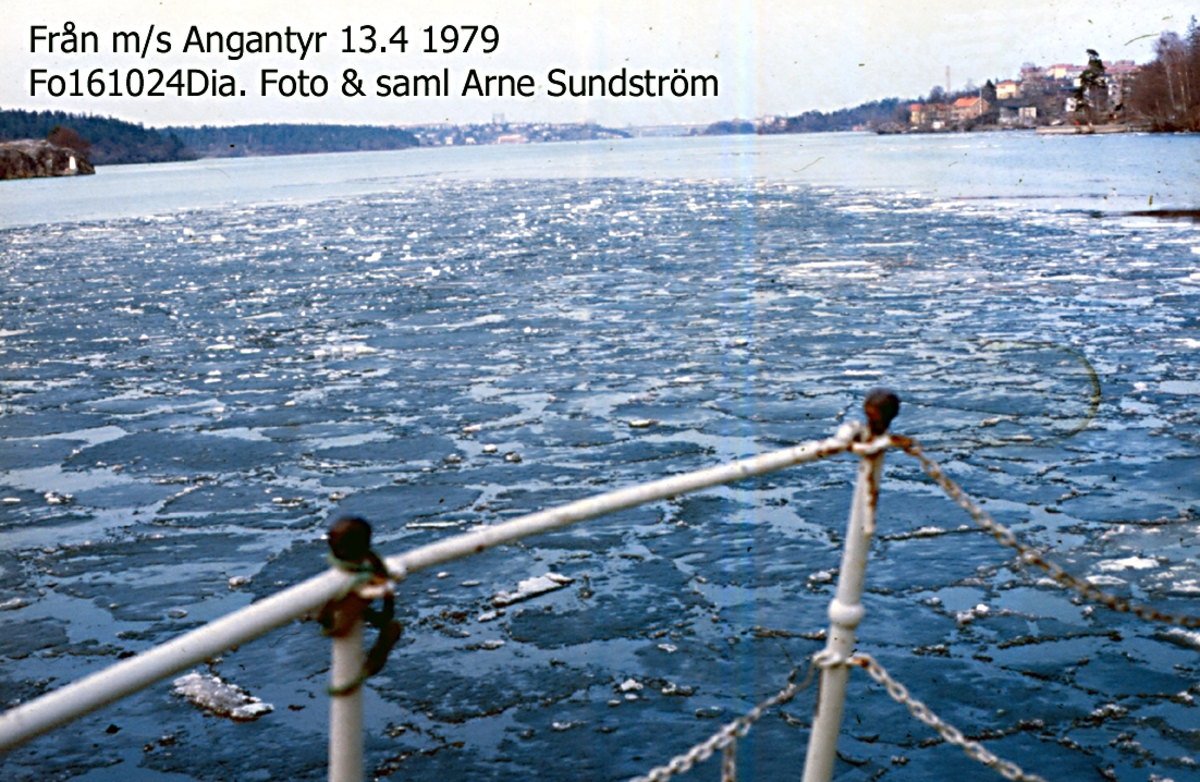 Från Angantyr. 13/4 1979.