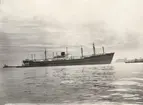 M/S KRISTIN BAKKE. Foto från Köpenhamn 1955.