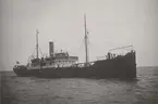 Lastångfartyget GUNHILD av Stockholm i Åhus hamn, augusti 1921.